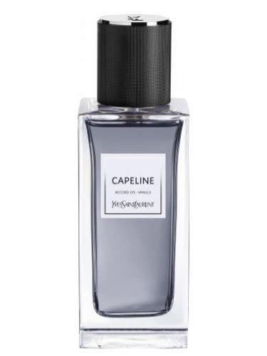 capeline by yves Saint Laurent